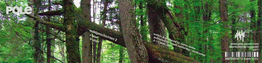 POLE Waldgeschichten